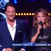 Vincent Cerutti et Sandrine Quétier - Quatrième prime de "Danse avec les stars 5" sur TF1. Samedi 18 octobre 2014.
