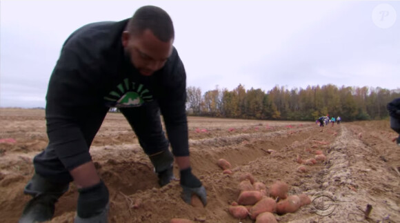 Jason Brown, l'ex-star des Rams de Saint-Louis en train de ramasser ses patates douces dans sa ferme de Caroline du Nord.