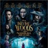 Affiche d'Into The Woods.