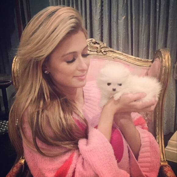 Paris Hilton pose avec son nouveau chiot, pour lequel elle cherche toujours un prénom...