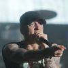 Eminem performs au Squamish Valley Music Festival le 10 août 2014
