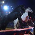 L'artiste Anastasia Fedotova-Stykan et ses chevaux  au 4e soir du 39e Festival International du Cirque de Monte-Carlo. 