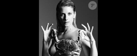 Mélanie Laurent pose nue avec un crabe pour la campagne Fishlove 2013