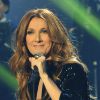 Céline Dion en concert au Palais Omnisports de Paris-Bercy, le 1er décembre 2013.