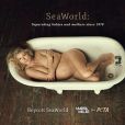  Marisa Miller pose pour la PETA, une campagne &agrave; l'encontre de SeaWorld qui a d&eacute;but&eacute; par la diffusion du documentaire Blackfish. 