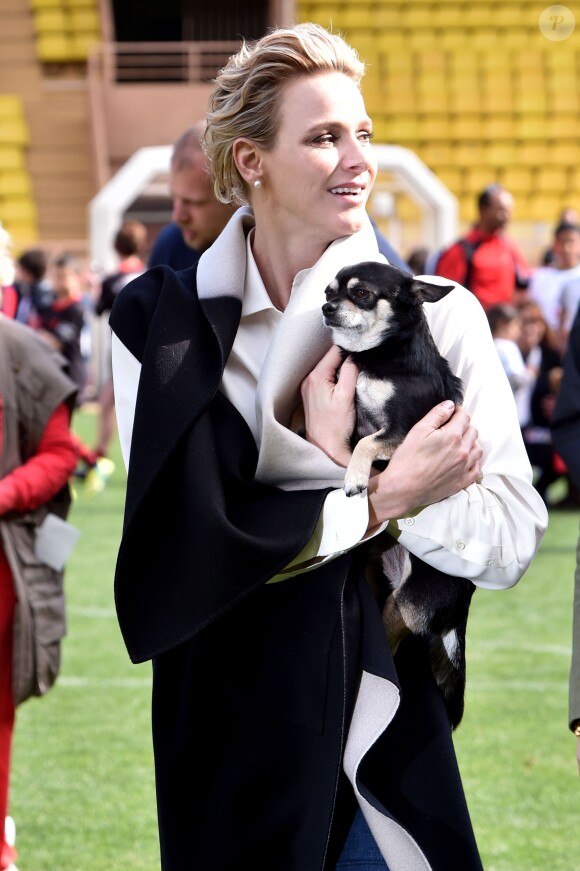 La princesse Charlene de Monaco et son petit chihuahua "Monte" lors de la 5e édition du "Tournoi Sainte-Dévote" le samedi 11 avril 2015, au Stade Louis II de Monaco