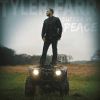 Tyler Farr, Suffer in Peace, son 2e album, avril 2015
