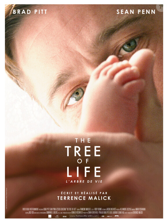 Le film Tree of Life (2011) 900 000 entrées