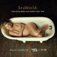  Le top model Marisa Miller, enceinte de son deuxi&egrave;me enfant, pose nue dans une baignoire pour la nouvelle campagne de PeTA contre l'exploitation des orques dans les parcs d&rsquo;attraction. Elle pose dans la position d'un orque captiv&eacute; 