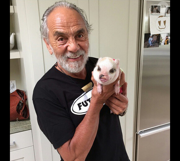 Tommy Chong et son cochon domestique Luna, sur Instagram - Juin 2015