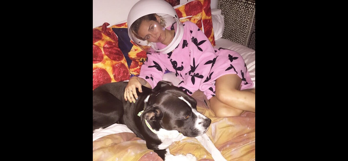 Miley cyrus et son chien / photo postée au mois de juillet 2015 - photo