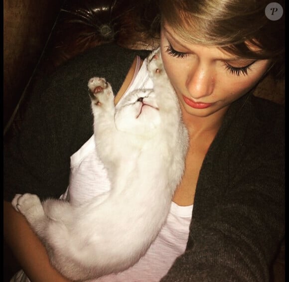 Taylor Swift a posté une photo sur les réseaux sociaux d'elle avec son chat / juillet 2015