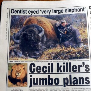 Couverture d'un quotidien titrant sur la mort de Cecil, le lion adoré, au Zimbabwe,.