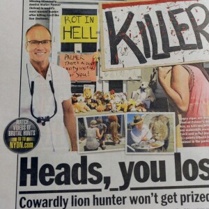 Couverture d'un quotidien titrant sur la mort de Cecil, le lion adoré, au Zimbabwe, le 29 juillet 2015.