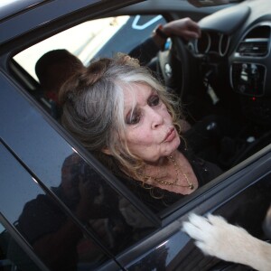 Exclusif - Brigitte Bardot arrive pour poser avec l'équipage de Brigitte Bardot Sea Shepherd, le célèbre trimaran d'intervention de l'organisation écologiste, sur le port de Saint-Tropez, le 26 septembre 2014 en escale pour 3 jours à deux jours de ses 80 ans. 