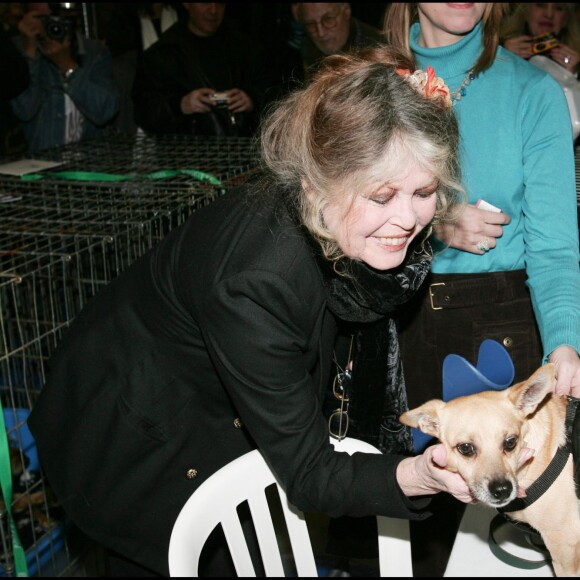 Brigitte Bardot lors du Noel des Animaux à Levallois Perret, le 11 décembre 2005