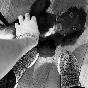 Brooklyn Beckham et Olive le nouveau chiot de la famille / photo postée sur Instagram.