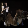Kev Adams se met à rapper à dos de dromadaire dans le clip Le Prince Aladin avec Black M