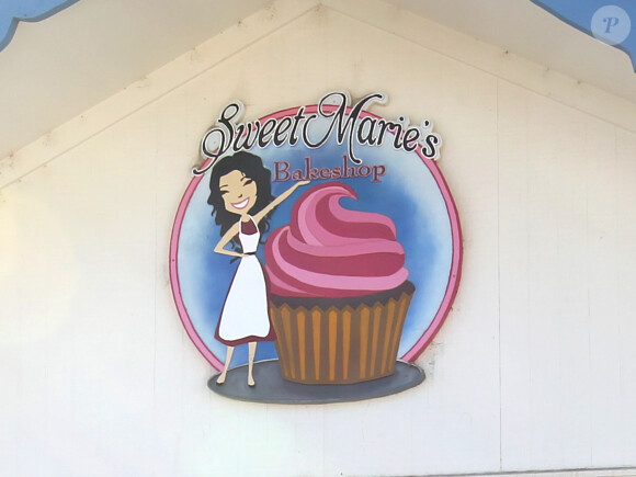 Exclusif - Mariage de Allison Williams ("Girls") et Ricky Van Veen dans une ferme du Wyoming le 19 septembre 2015. Son père, Brian Williams, l'emmène fièrement jusqu'à l'autel devant ses proches réunis pour cette superbe cérémonie. Parmi eux, John Mayer, Kary Perry, Lena Dunham, Rita Wilson, Bruce Springsteen, Diane Von Furstenberg, Seth Meyer ou encore Andy Cohen.