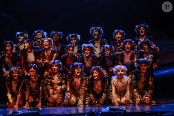 Filage de la comédie musicale "Cats" au théâtre Mogador à Paris, le 1er octobre 2015.