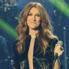 Céline Dion en concert au Palais Omnisports de Paris-Bercy, le 1er décembre 2013.