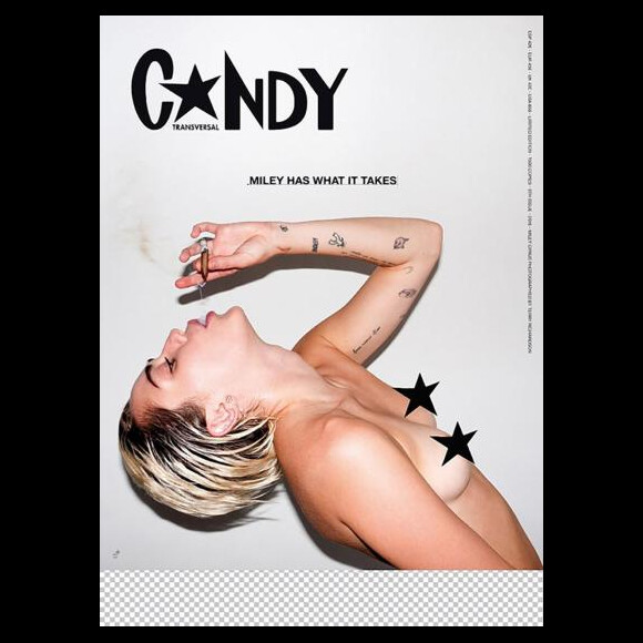 Miley Cyrus pose pour l'édition hiver 2015/2016 du magazine américain Candy.