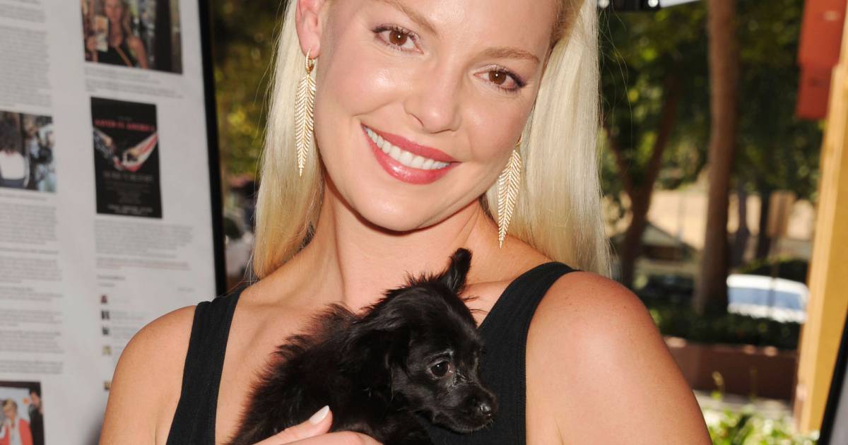 Katherine Heigl Filme Katherine Heigl Filme