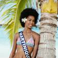  Miss Martinique - Candidate à l'élection Miss France 2016. 