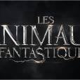 Teaser du film Les Animaux Fantastiques.