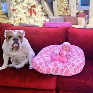 Chanel Nicole bien entourée avec Spartacus et Maxime, les chiens de la famille / photo postée sur Instagram au mois de décembre 2015.