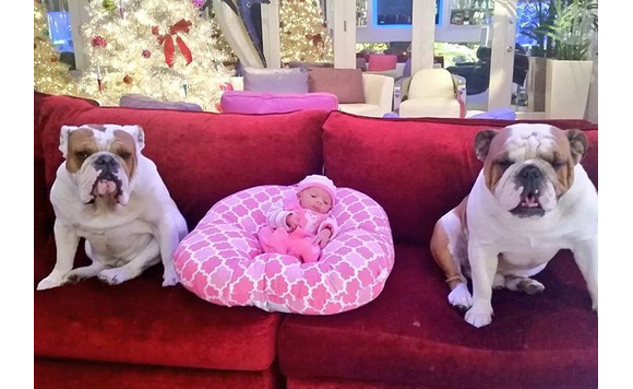 Chanel Nicole bien entourée avec Spartacus et Maxime, les chiens de la famille / photo postée sur Instagram au mois de décembre 2015.