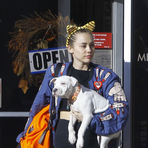 Exclusif - Miley Cyrus à la sortie d'un cabinet vétérinaire avec son chien à Studio City, le 10 novembre 2015