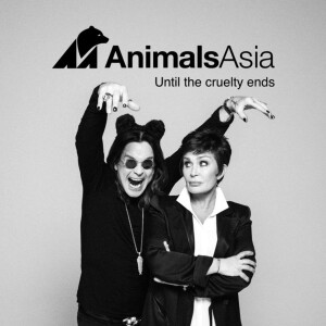 Ozzy et Sharon Osbourne posent pour la nouvelle campagne de "Animal Asia", une ONG luttant contre les traditions barbares contre les ours en Chine et Vietnam