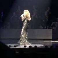 Céline Dion, sa surprise pour le Nouvel An : Elle reprend "Hello" d'Adele