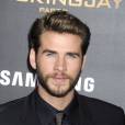 Liam Hemsworth - Première de Hunger Games La révolte : partie 2 à New York le 18 novembre 2015.