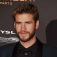 Liam Hemsworth - Première de Hunger Games La révolte partie 2 à Los Angeles le 16 novembre 2015.