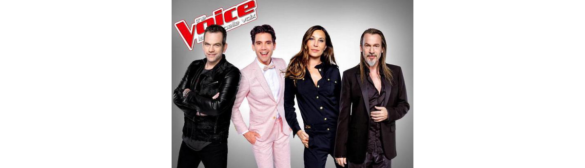 Photo : La photo officielle des quatre coachs de The Voice 5 - Ode ...
