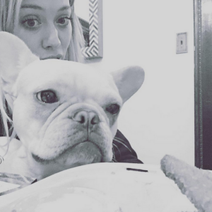 Hilary Duff a publié une photo de son chien Beau sur son compte Instagram au mois de novembre 2015. Malheureusement, l'adorable bouledogue français est décédé au début du mois de janvier 2016.