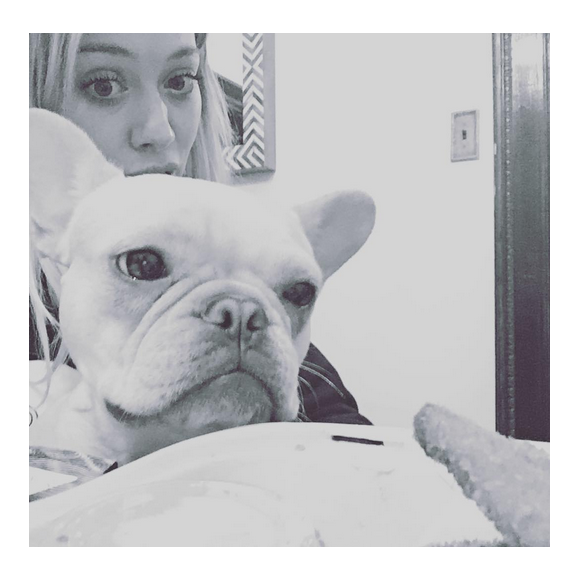 Hilary Duff a publié une photo de son chien Beau sur son compte Instagram au mois de novembre 2015. Malheureusement, l'adorable bouledogue français est décédé au début du mois de janvier 2016.