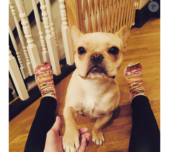 Hilary Duff a publié une photo de son chien Beau sur son compte Instagram au mois d'octobre 2015. Malheureusement, l'adorable bouledogue français est décédé au début du mois de janvier 2016.
