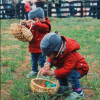 Les jumeaux de Zoe Saldana en pleine chasse aux oeufs. Photo publiée sur Instagram, le 27 mars 2016.