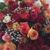 Alexia Mori : un beau bouquet pour sa grand-mère, le 10 avril 2016