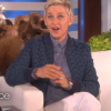 Ellen DeGeneres présente le Ellen DeGeneres Show, le vendredi 13 mai 2016.