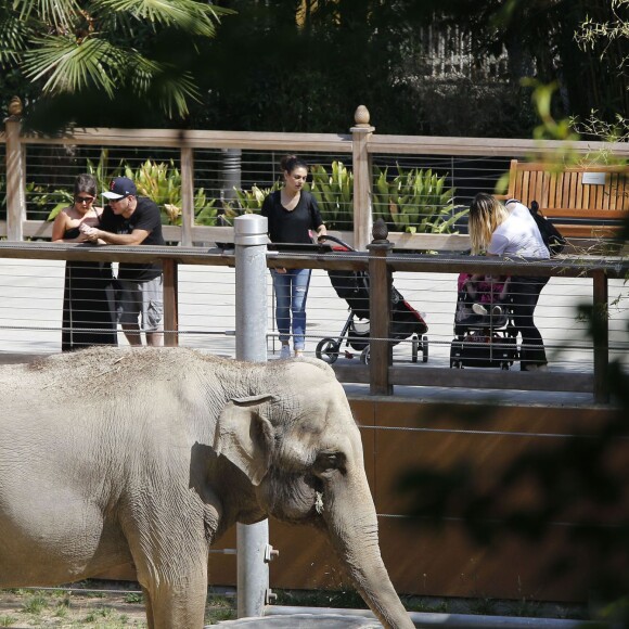 Exclusif - Mila Kunis se promène avec sa fille Wyatt dans un zoo à Los Angeles, le 19 mai 2016