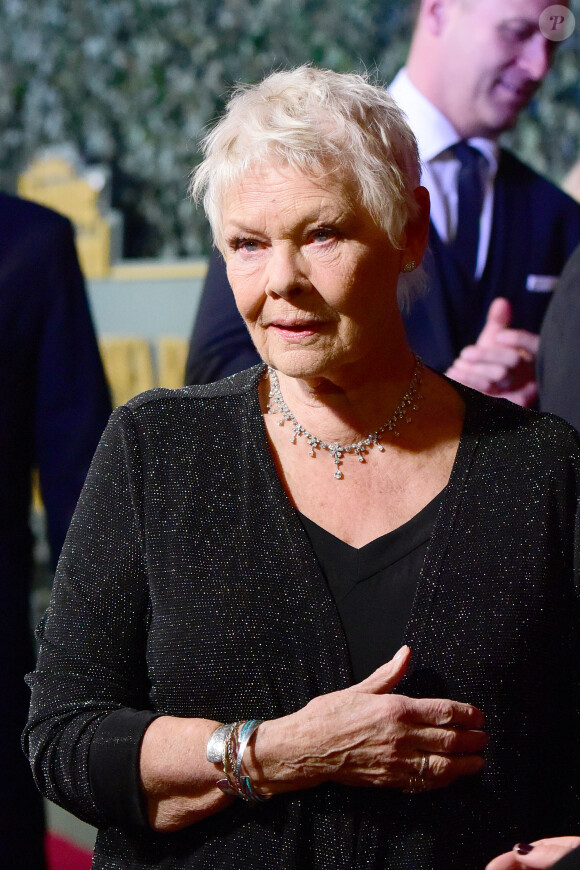 Dame Judi Dench à la soirée ‘Evening Standard Theatre Awards' à Londres, le 22 novembre 2015