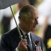 Le prince Charles - Commémorations du centenaire de la Bataille de la Somme à Thiepval, bataille qui fût la plus meurtrière de la Première Guerre Mondiale. Le 1er juillet 2016