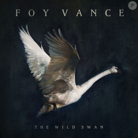 Foy Vance - The Wild Swan - mai 2016