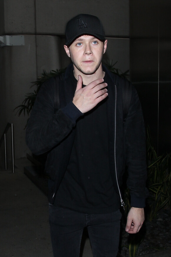 Niall Horan arrive à l'aéroport de Los Angeles, le 11 janvier 2016.