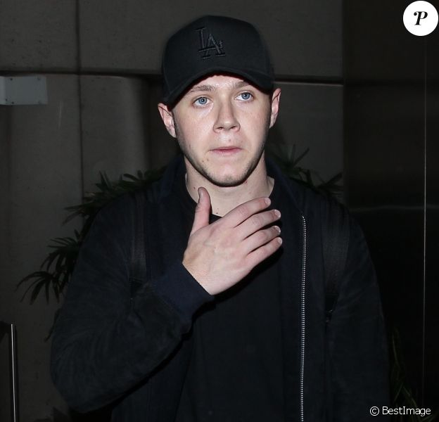 Niall Horan arrive à l'aéroport de Los Angeles, le 11 janvier 2016.