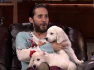 Jared Leto : Le Joker de Suicide Squad, irrésistible avec des chiots